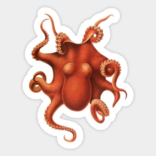 Deep Sea Octopus Vintage Marine Biology Natural History Sticker